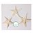 Estrela do mar Pequena - Unidade - Imagem 3