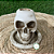 Castiçal Crânio em Resina - 10cm - Imagem 3