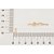 GARGANTILHA FIO DE NYLON FOLHEADO A OURO COM LETRAS. MED 42CM ROMMANEL 532041 - Imagem 2