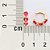 ARGOLA FOLHEADO A OURO COM CRISTAIS ROSA. MED 1,4CM ROMMANEL 527450 - Imagem 2
