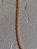 CORRENTE FOLHEADO A OURO FIO ELO MIMOSA. MED 50CM ROMMANEL 530336 - Imagem 4