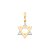 PINGENTE MASCULINO FOLHEADO A OURO ESTRELA DE DAVI COM APLIQUE DE RHODIUM. MED 2,2CM ROMMANEL 540136 - Imagem 1