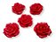 Firma de Rosas - Imagem 1