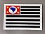 BANDEIRA  SÃO PAULO (EMBORRACHADA) COLORIDA - Imagem 1