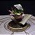 Dice Holder - Witcher - Imagem 2
