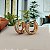 Argola Cravejada 14mm - Semijoia 18k - B120-02148 - Imagem 1