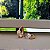 Argola Com Ponto de Luz - Semijoia 18k - B384-08110 - Imagem 1