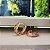 Argola Cravejada - 15mm - Semijoia 18k - B413-12140 - Imagem 1