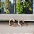 Brinco Argola Pérolas - 14mm - Semijoias 18k -B429-05104 - Imagem 2
