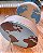 Mundo Decor - Imagem 1
