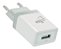 Carregador Celular USB Universal Branco 1A Bivolt WC1A ELG - Imagem 1