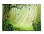 Fundo Fotográfico Gigante 3D Floresta 3,0x2,5 WFG-440 - Imagem 1