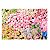 Fundo Fotográfico Newborn Pequeno 3D Floral 1,50 x 1,20 WFP-746 - Imagem 1