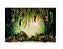 Fundo Fotográfico Newborn Pequeno 3D Bosque E Floresta 1,50 x 1,20 WFP-120 - Imagem 1