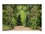 Fundo Fotográfico Newborn Pequeno 3D Bosque E Floresta 1,50 x 1,20 WFP-108 - Imagem 1
