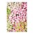 Fundo Fotográfico Tecido Sublimado Newborn 3D Floral E Folhagens 1,50x2,20 WFF-1672 - Imagem 2