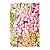 Fundo Fotográfico Tecido Sublimado Newborn 3D Floral E Folhagens 1,50x2,20 WFF-1672 - Imagem 1