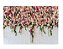 Fundo Fotográfico Tecido Sublimado Gigante 3D Floral 3,00x2,50 WFG-461 - Imagem 1