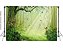 Fundo Fotográfico Pequeno Tecido Sublimado 3D Floresta 1,50x1,20 WFP-1202 - Imagem 1