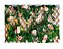 Fundo Fotográfico Newborn Tecido Sublimado 3D Floral 3,00x2,50 WFG-725 - Imagem 1
