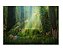 Fundo Fotográfico Tecido Sublimado Newborn 3D Floresta 2,20x1,50 WFF-194 - Imagem 1