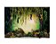 Fundo Fotográfico Tecido Sublimado Gigante 3D Floresta Encantada 3,00x2,50 Horizontal WFG-138 - Imagem 1