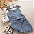 Conjunto Jeans Franci 04 ao 10 (2 Peças) - Imagem 1