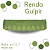 Renda Guipir CHL-435 5.0 Cm -  Rolo C/13.7 Metros Cor:Verde-Limao - Imagem 1