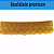 Renda Guipir CHL-133 - 6.0 Cm -  Rolo C/13.7 Metros Cor:Amarelo-Ouro - Imagem 2