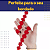 Renda Guipir CHL-207 Flor 2.5 Cm - Rolo C/13.7 Metros Cor:Vermelho - Imagem 2