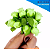Mini Florzinha De Plastico - Pct C/ 144 Unid. Cor:VERDE-LIMAO-225 - Imagem 1