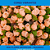 Mini Florzinha De Plastico - Pct C/ 144 Unid. Cor:SALMAO-147 - Imagem 3
