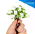 Mini Florzinha De Plastico - Pct C/ 144 Unid. Cor:NATURAL-296 - Imagem 1