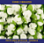 Mini Florzinha De Plastico - Pct C/ 144 Unid. Cor:BRANCO-101 - Imagem 4