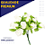 Mini Florzinha De Plastico - Pct C/ 144 Unid. Cor:BRANCO-101 - Imagem 3