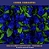 Mini Florzinha De Plastico - Pct C/ 144 Unid. Cor:AZUL-ROYAL-207 - Imagem 4