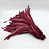 Pena Calda Rabo de Galo Pluma - Pct c/100 unid. - Tam: 25-30cm Cor:VINHO-173 - Imagem 1