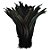 Pena Calda Rabo de Galo Pluma - Pct c/100 unid. - Tam: 25-30cm Cor:PRETO-310 - Imagem 1