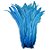 Pena Calda Rabo de Galo Pluma - Pct c/100 unid. - Tam: 25-30cm Cor:AZUL-TURQUESA-199 - Imagem 1