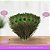 10 Penas de Pavão Natural - Tam: 80-90cm Artesanato, Cocar, Decoração - Imagem 4