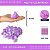 Pom Pom Pelucia - 50mm - Pct C/50 Unid. COR: MULT-12 (LILAS/ROXO) - Imagem 1