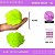 Pom Pom Pelucia - 100mm (10Cm) - Pct C/12 Unid. COR: VERDE-NEON-02 - Imagem 1