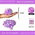 Pom Pom Pelucia - 100mm (10Cm) - Pct C/12 Unid. COR: MULT-12 (LILAS/ROXO) - Imagem 1