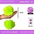 Pom Pom Pelucia - 100mm (10Cm) - Pct C/2 Unid. COR: VERDE-NEON-02 - Imagem 1
