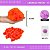 Pom Pom Pelucia - 100mm (10Cm) - Unidade COR: LARANJA-NEON-01 - Imagem 1