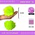 Pom Pom Pelucia C/Elastico - 100mm (10Cm) - Pct C/25 Unid. COR: VERDE-NEON-02 - Imagem 1
