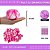 Pom Pom Pelucia C/Elastico - 100mm (10Cm) - Pct C/25 Unid. COR: MULT-22 (BRANCO/PINK) - Imagem 1