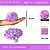 Pom Pom Pelucia C/Elastico - 100mm (10Cm) - Pct C/25 Unid. COR: MULT-12 (LILAS/ROXO) - Imagem 1