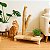 Arranhador Decorativo Ecológico para Gato - Imagem 1