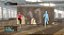 Jogo Kinect Training Xbox 360 - Imagem 3